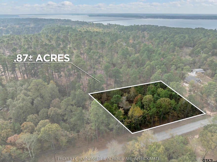 0 Pintail Dr, Flint, TX 75762 - photo 1