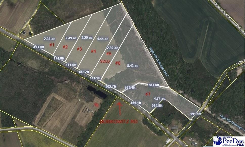 Tract 4 State Road S-21-881, Scranton, SC 29591 - photo 1