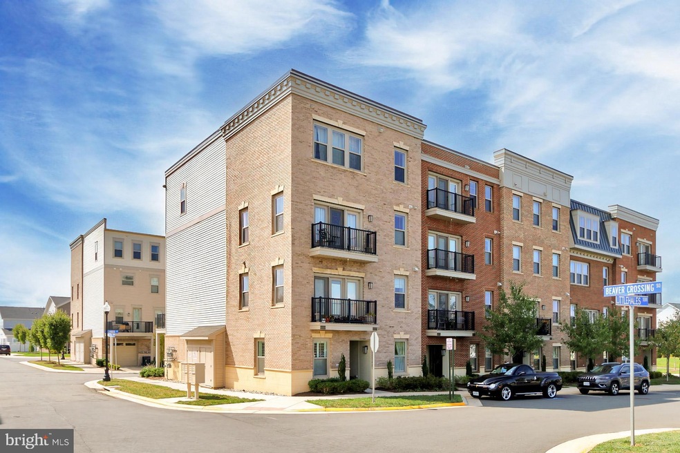 42839 Littlehales Terrace, Brambleton, VA 20148 - photo 1