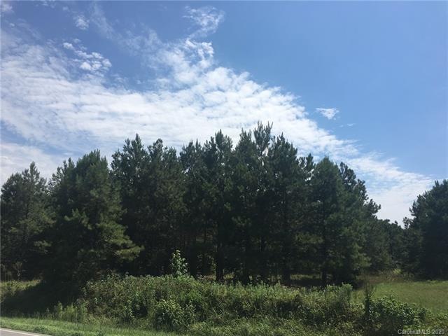 30 Acres N Carolina 20, Lumber Bridge, NC 28537 - photo 1