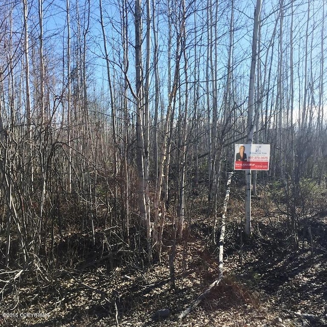 2669 S Walnut Wood Dr, Big Lake, AK 99652 - photo 1