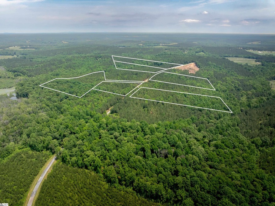 00 Elford Grove Rd unit Tract 1, Jonesville, SC 29353 - photo 1