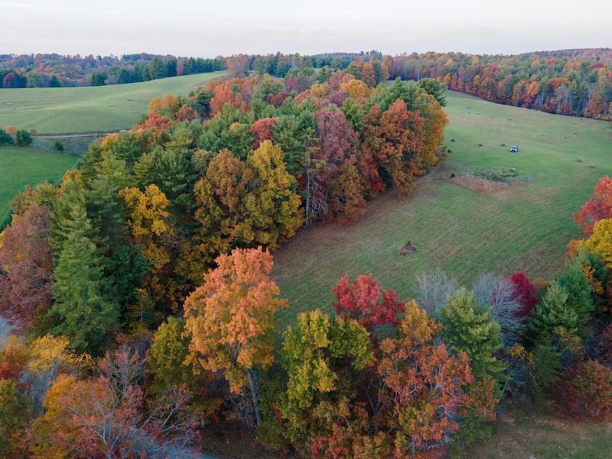 TBD Shady Grove Rd, Indian Valley, VA 24105 - photo 1