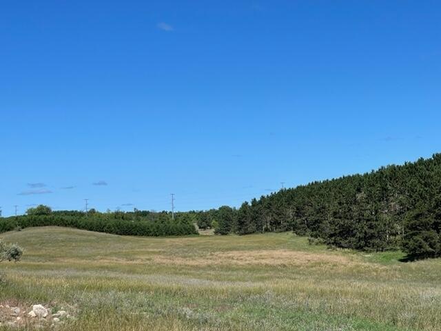 37 +/- Acres 2 Mile Rd Rd, Reed City, MI 49677 - photo 1