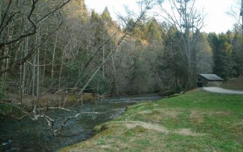 Main View