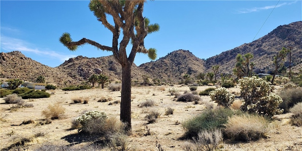 8000 Wesley Rd, Joshua Tree, CA 92252 - photo 1