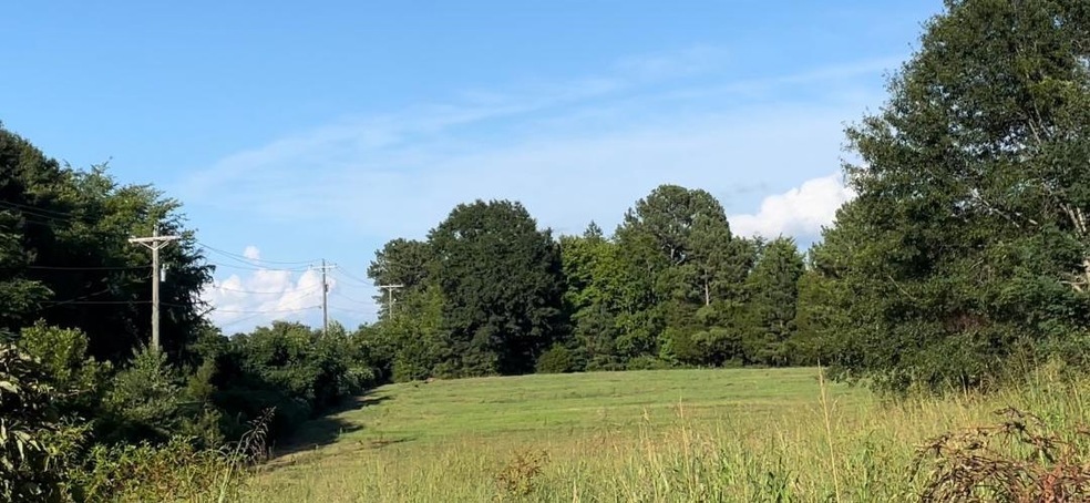 130 Watson Road (Lot 1), Enoree, SC 29335 - photo 1