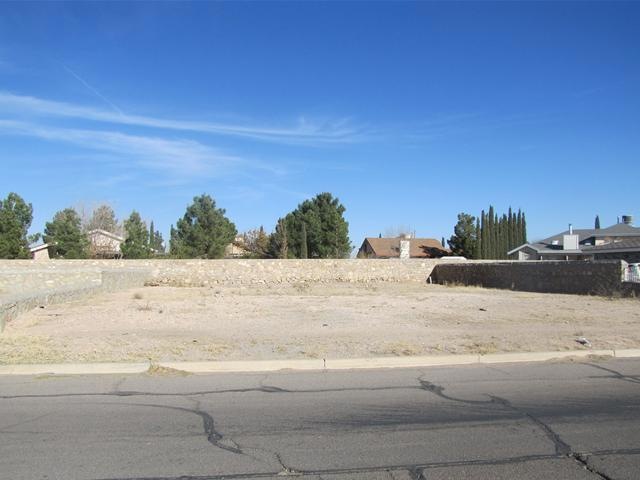 340 Duanesburg St, Horizon City, TX 79928 - photo 1