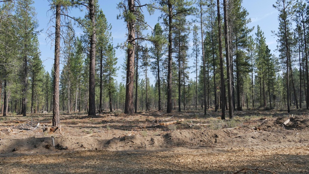 Front of homesite