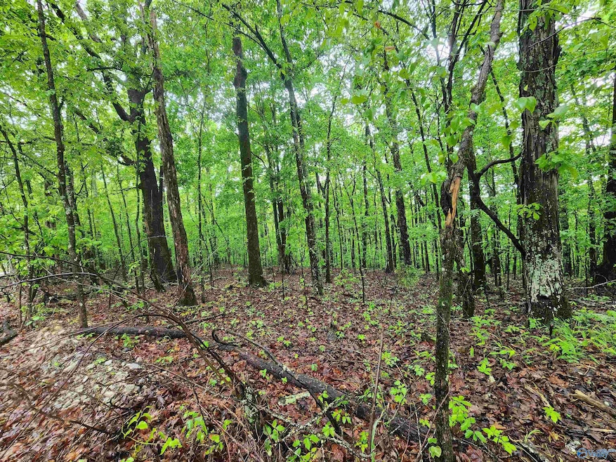 Lot 0 Huskey Mountain Rd, Laceys Spring, AL 35754 - photo 1