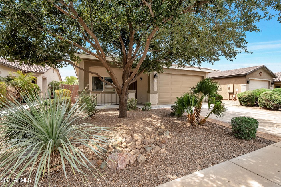 785 W Press Rd, San Tan Valley, AZ 85140 - photo 1