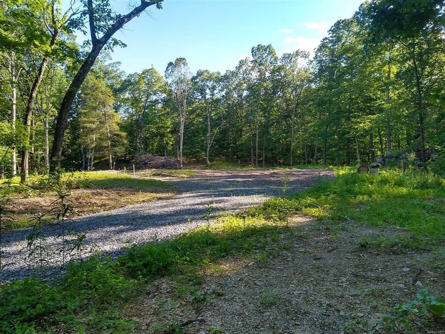 0 Commons Rd unit 403941, Germantown, NY 12526 - photo 1