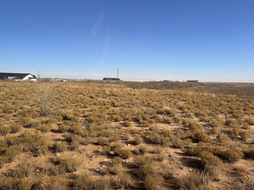 TBD County Road 300 K, Seminole, TX 79360 - photo 1