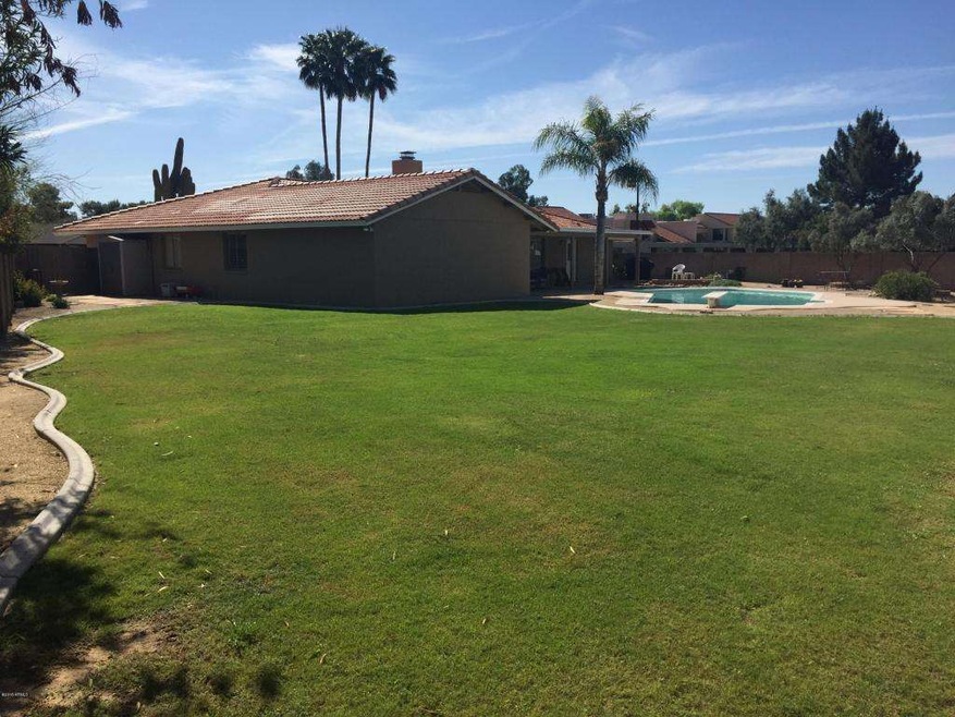 HUGE grassy area