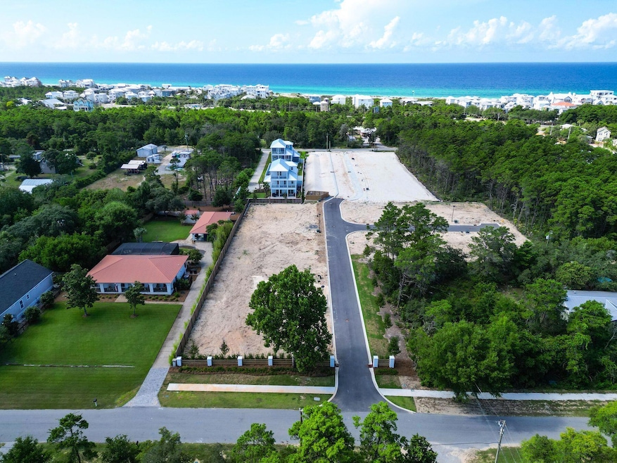 TBD Walton Palm Rd, Inlet Beach, FL 32461 - photo 1