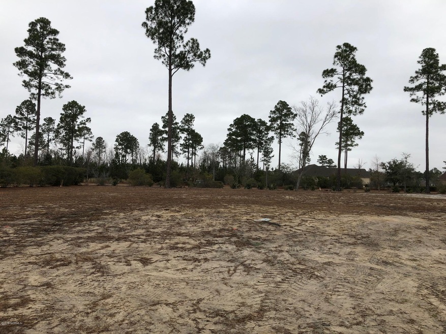 1380 Cross Water Cir, Leland, NC 28451 - photo 1