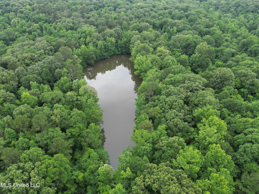 Drone looking west
