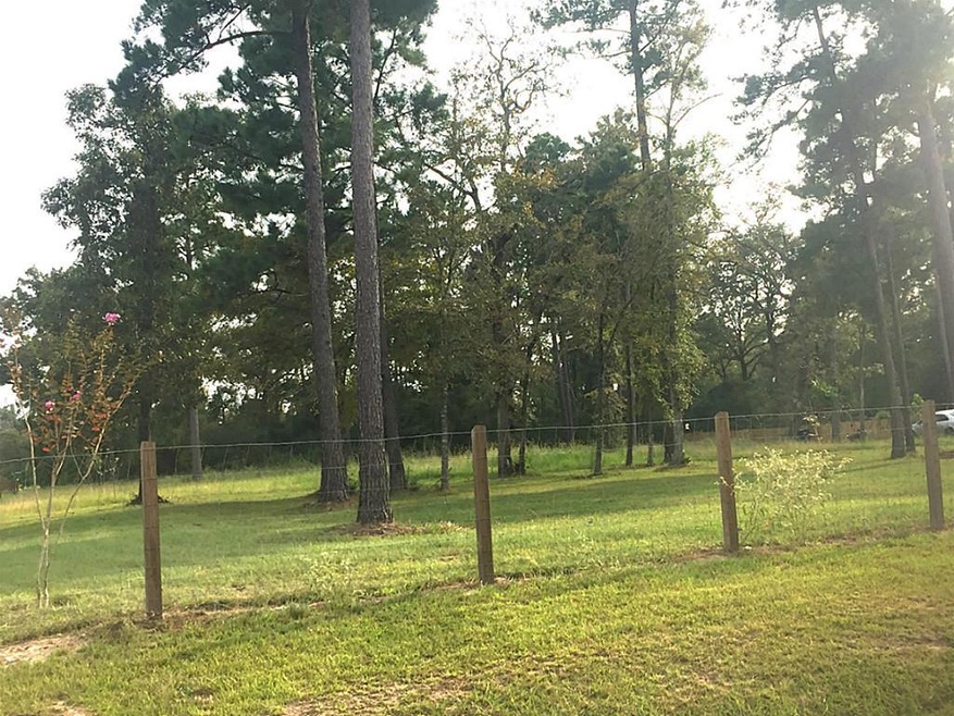 26001 W Lake View Ct, Hockley, TX 77447 - photo 1