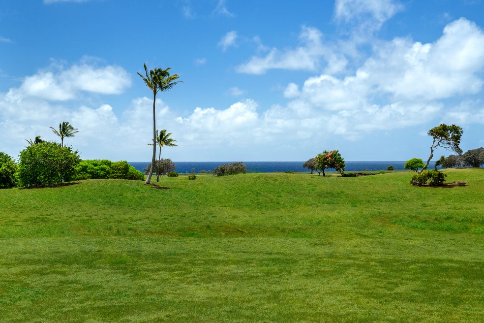 0 Pohaiula Place unit 722183, Lihue, HI 96766 - photo 1