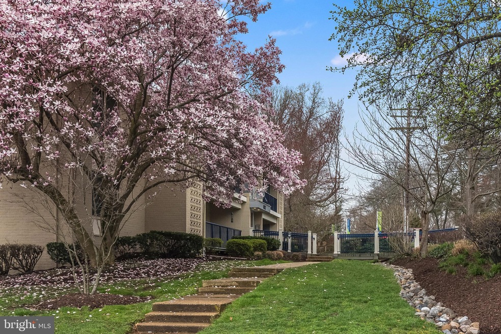 1002 Primrose Rd, Annapolis, MD 21403 - photo 1