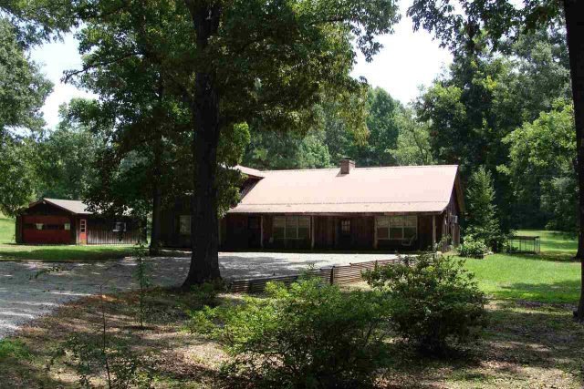 Main View
