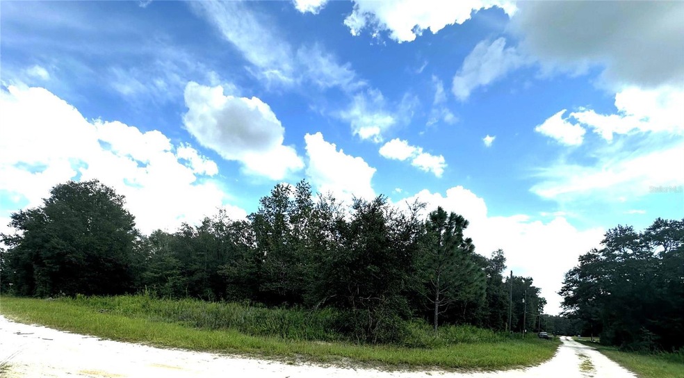 0 SW 134 Ct unit MFROM709668, Dunnellon, FL 34432 - photo 1