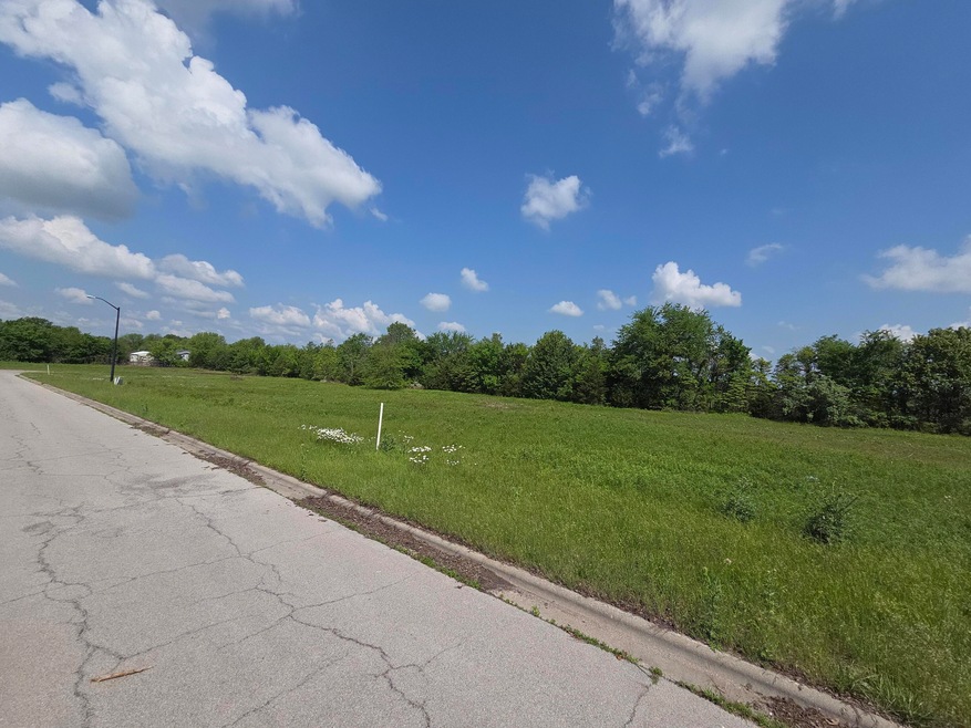 825 E Colter Dr unit Lot 10, Republic, MO 65738 - photo 1