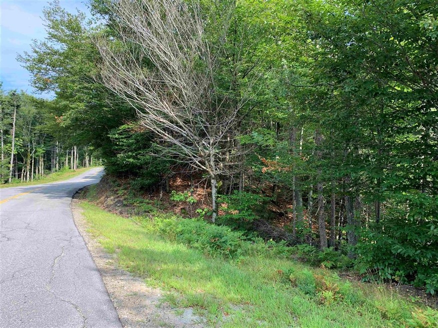 36 N Groton Rd unit lot 36, East Hebron, NH 03241 - photo 1