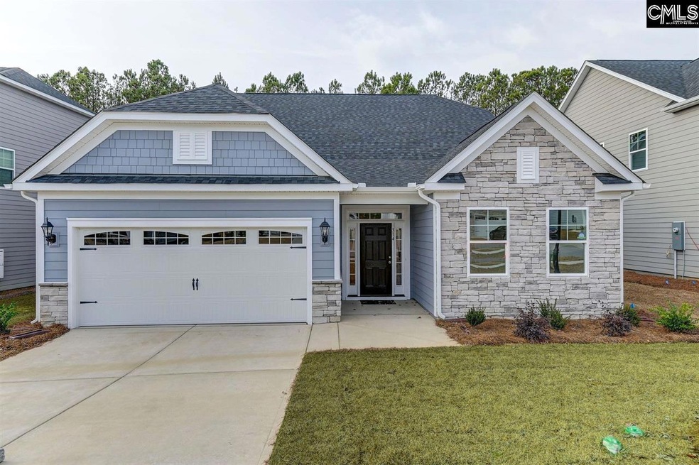 209 Wessinger Farms Rd, Chapin, SC 29036 MLS 570101