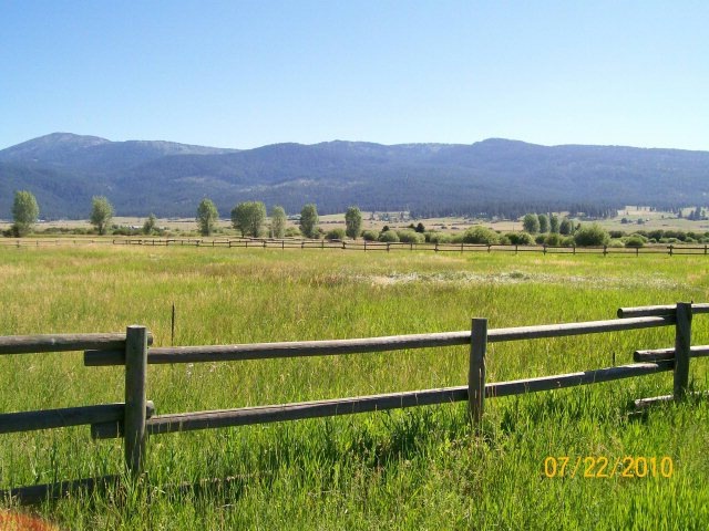 Main View