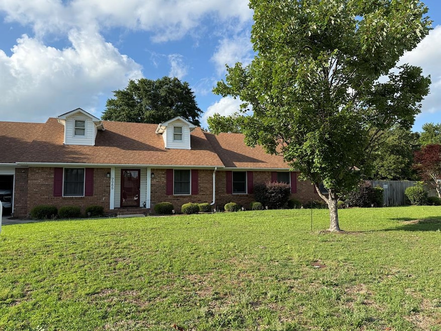Main View