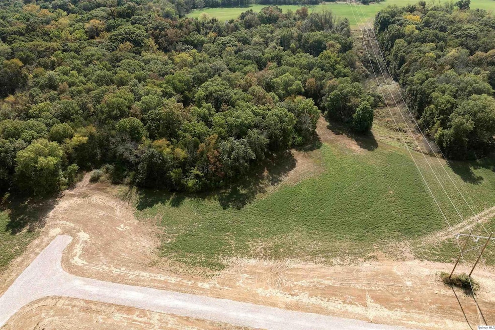 5910 Orchards Edge Ln, Quincy, IL 62305 - photo 1