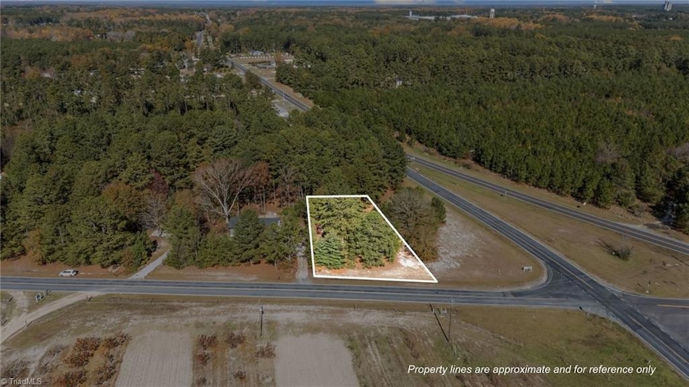 Vacant Mccallum Rd, Candor, NC 27229 - photo 1