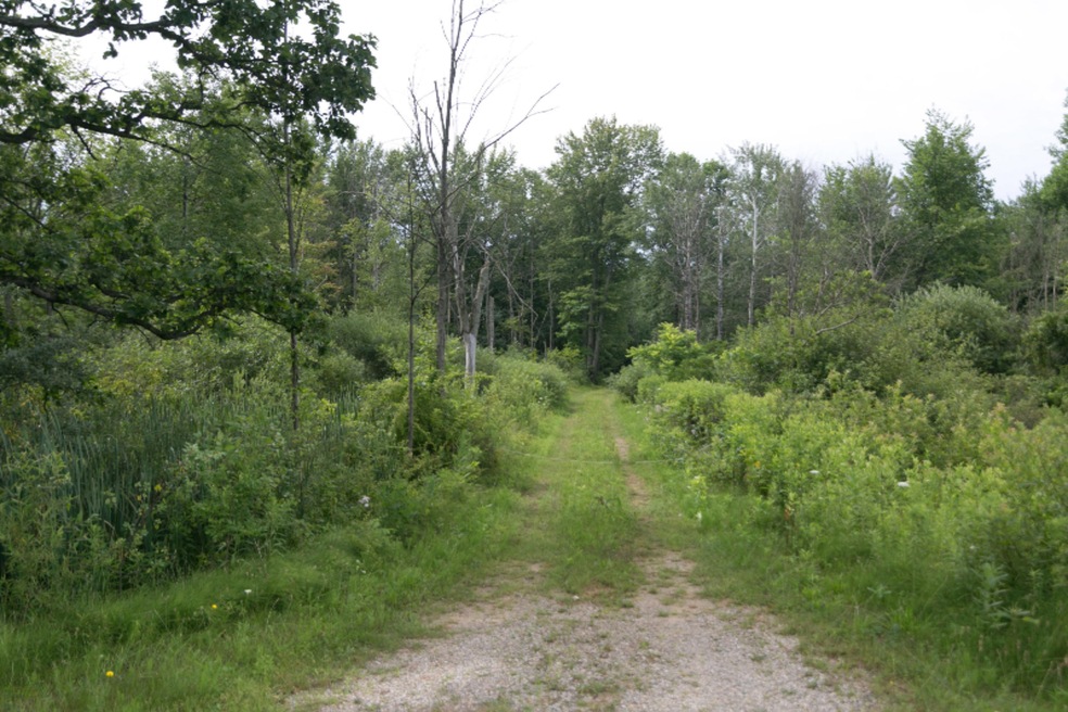 10441-W-PQ-Ave-101