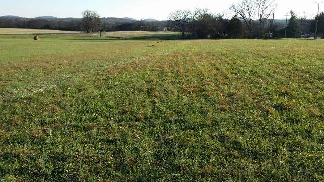 Fabulous 5 acre tract