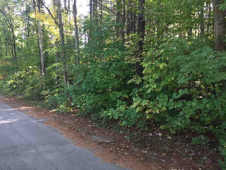 20 Fairway Dr, Center Ossipee, NH 03814 - photo 1