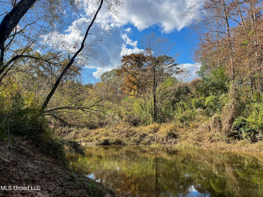 0 80 8 Acres, Carthage, MS 39051 - photo 1
