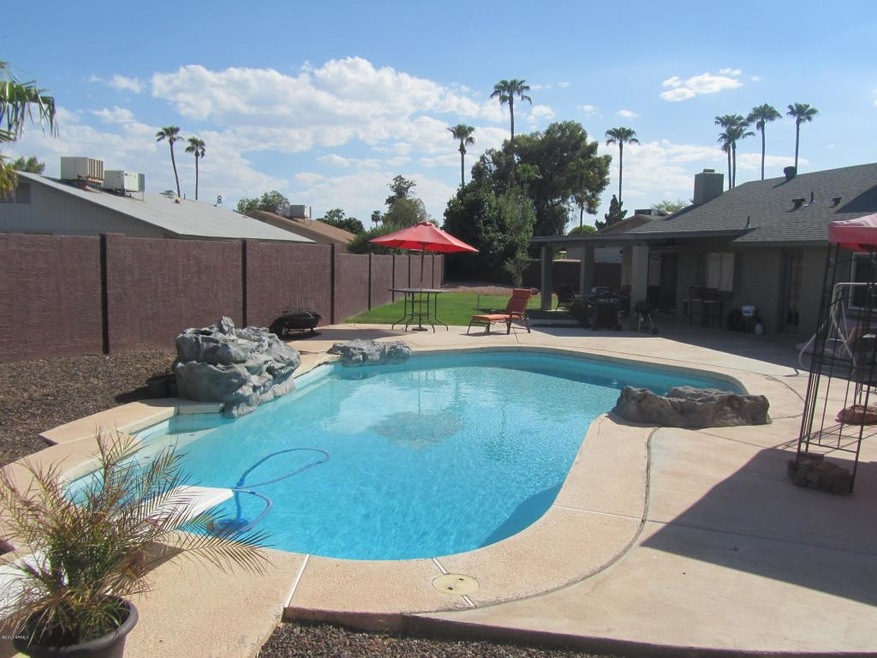 Pool & yard