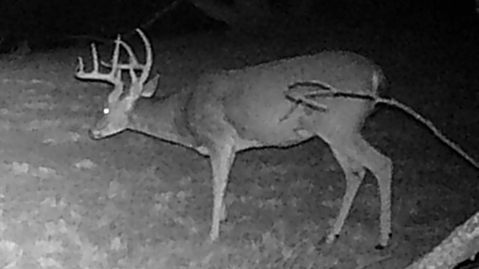 12014 A S Fm 600, Abilene, TX 79601 - photo 1