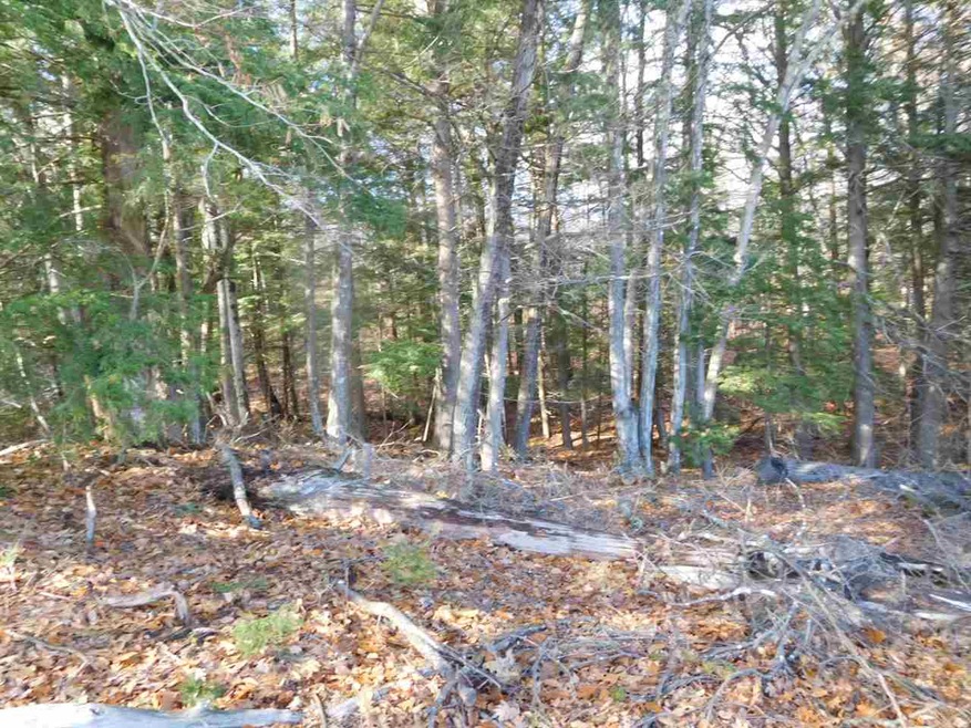 0FF Mutton Rd, Webster, NH 03303 - photo 1