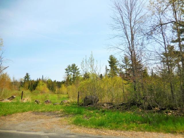 Silvers Mills 1