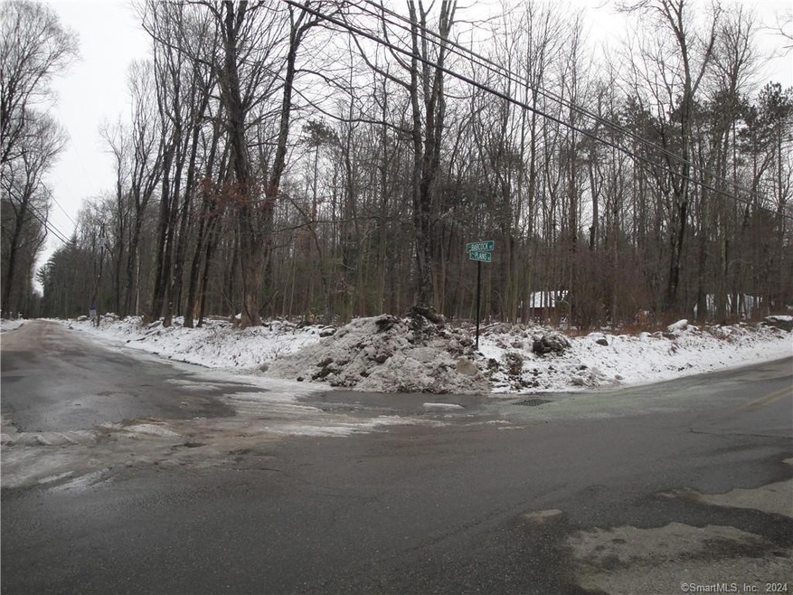 Lot, Corner of Babcock & Plains Rd.