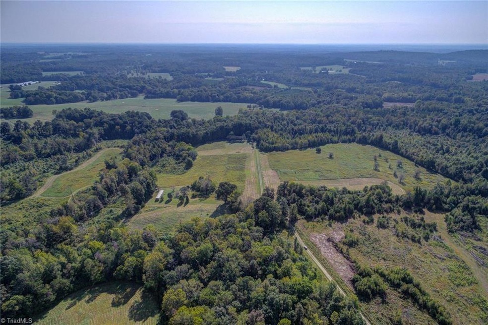 447 Isaiah Walker Rd, Elon, NC 27244 - photo 1