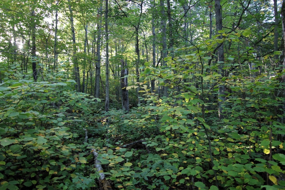 L3 B13 WB15 Winter Trail, Breezy Point, MN 56472 - photo 1