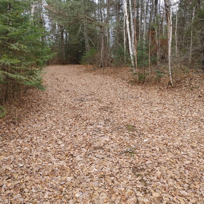 Lot 31 Shady Knoll Rd unit Lot 31, Fifield, WI 54552 - photo 1