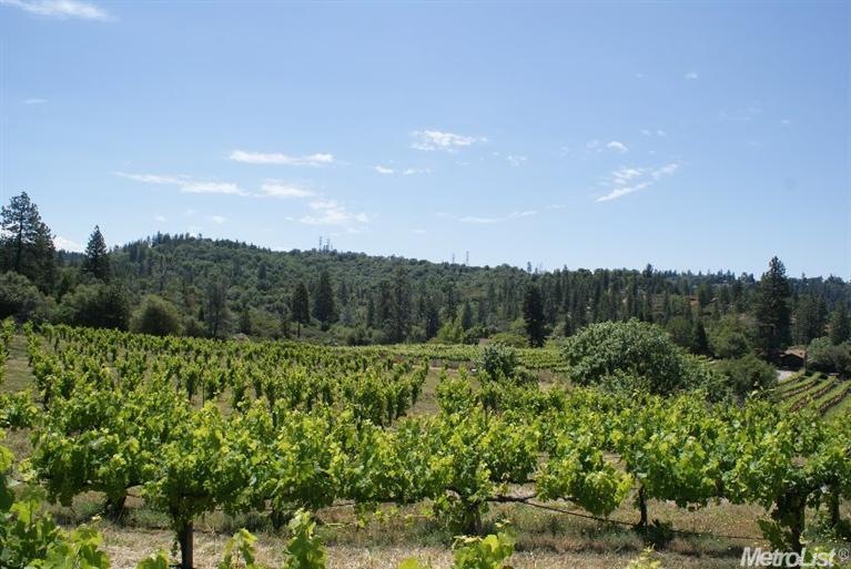 1 Mosquito Rd, Placerville, CA 95667 - photo 1