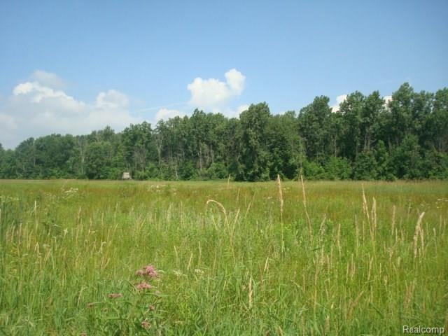 DSC03504.JPG