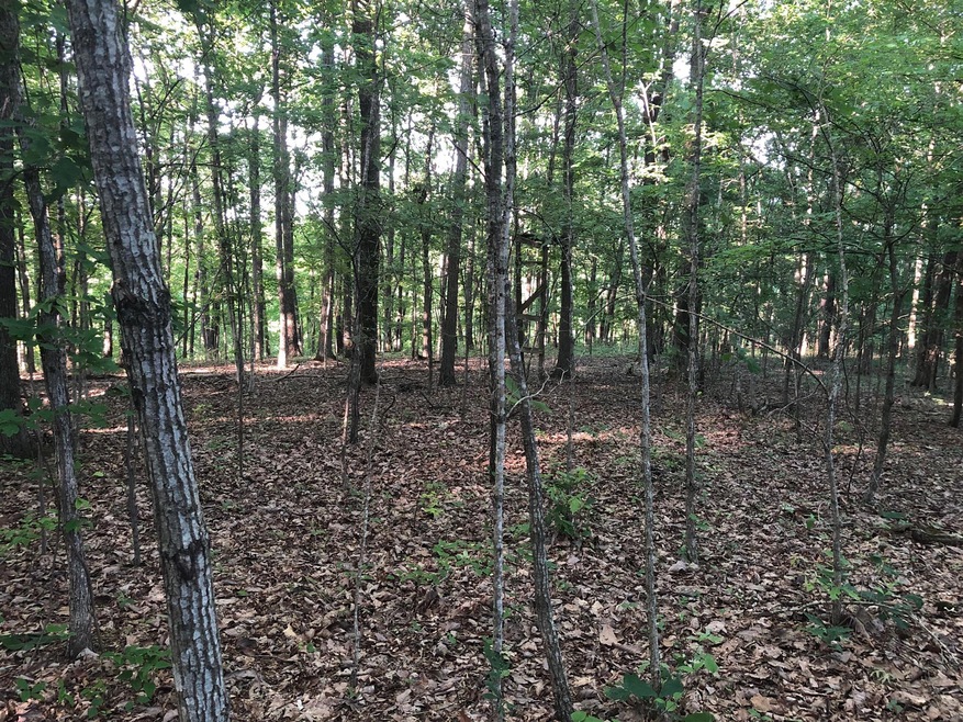 Top of Ridge on 34 acres. 
