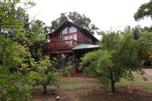 Looking through the apple orchards at th