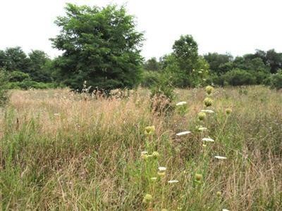 69788 S Nottawa Rd, Sturgis, MI 49091 - photo 1